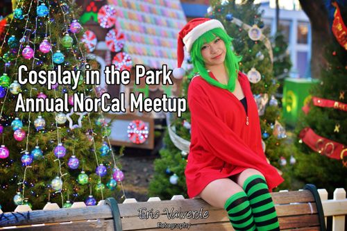 Cosplay in the Park